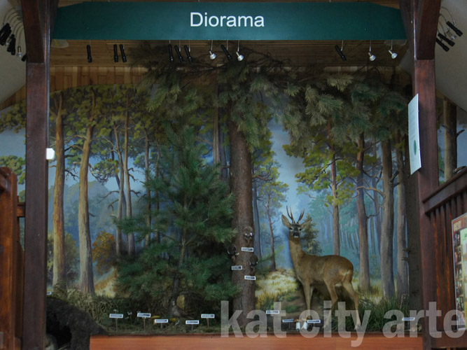 Zdjęcie: diorama drygaly.jpg